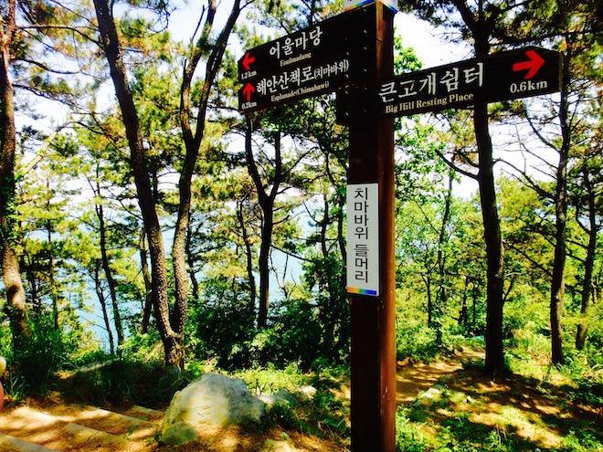 hiking trail igidae park