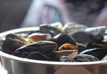 Taejondae’s Shellfish Village Gets a New Home
