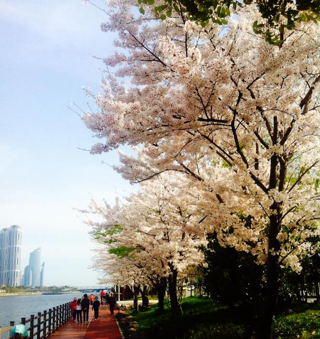 suyeong riverside park
